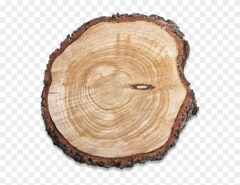 Wood-cut - Lumber Clipart