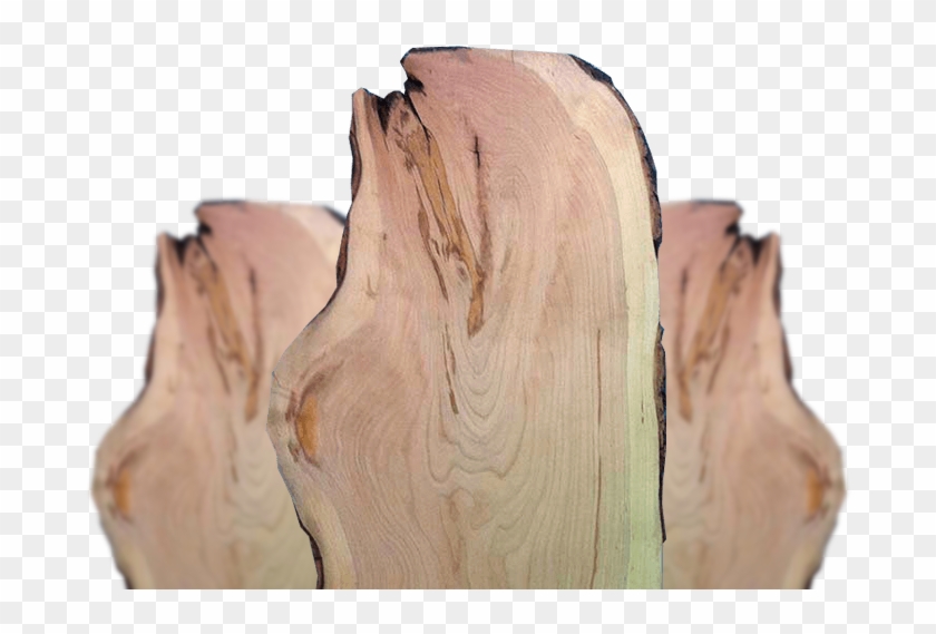 Live Edge Slab - Lumber Clipart #1471762
