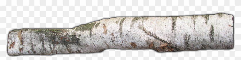837k Branch07 Kpl - Driftwood Clipart