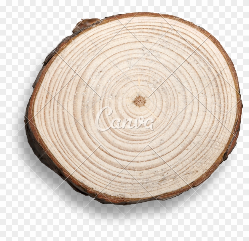 Log Photos By Canva - Plywood Clipart #1471974