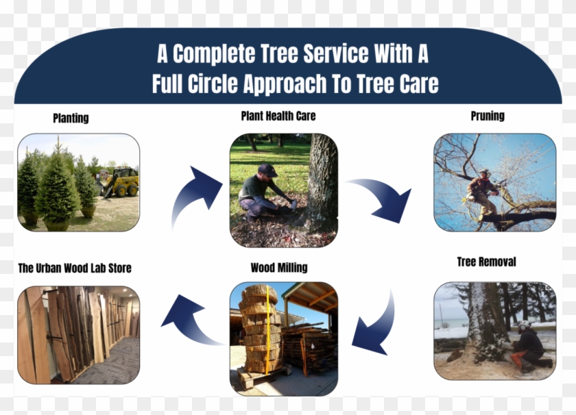 Nationally Accredited By The Tree Care Industry Association - Commercial Motor Clipart