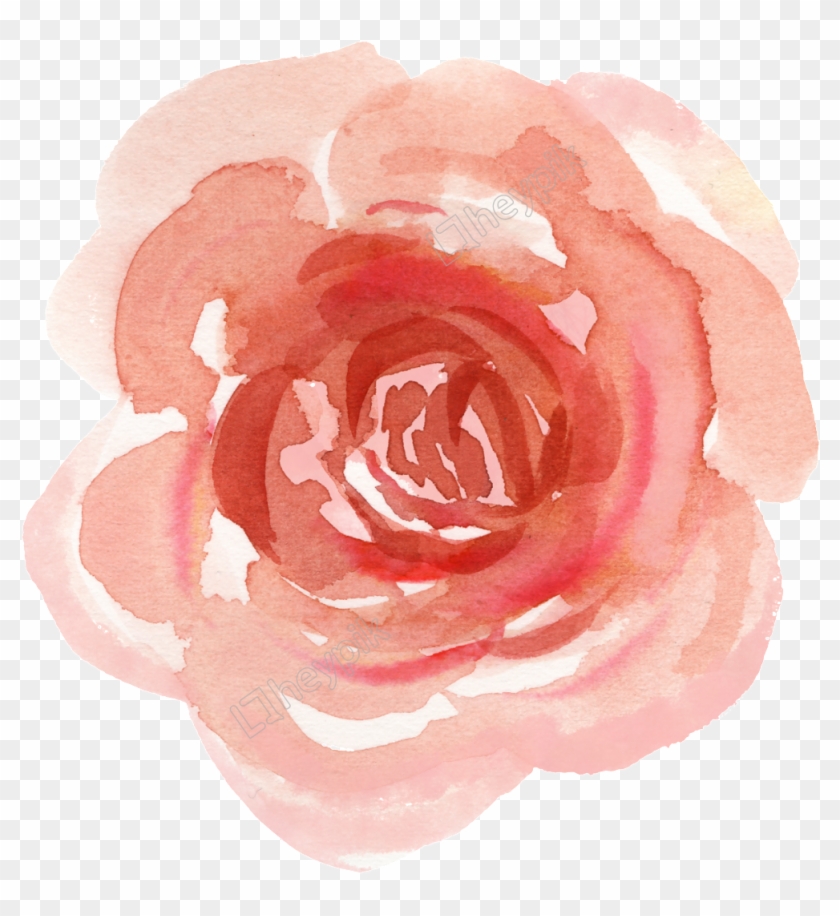 1024 X 1073 2 0 - Floribunda Clipart #1473869