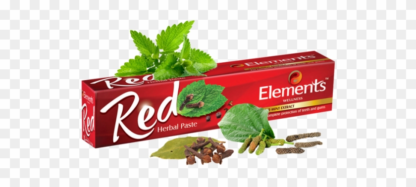 Elements Red Herbal Toothpaste Clipart #1474426