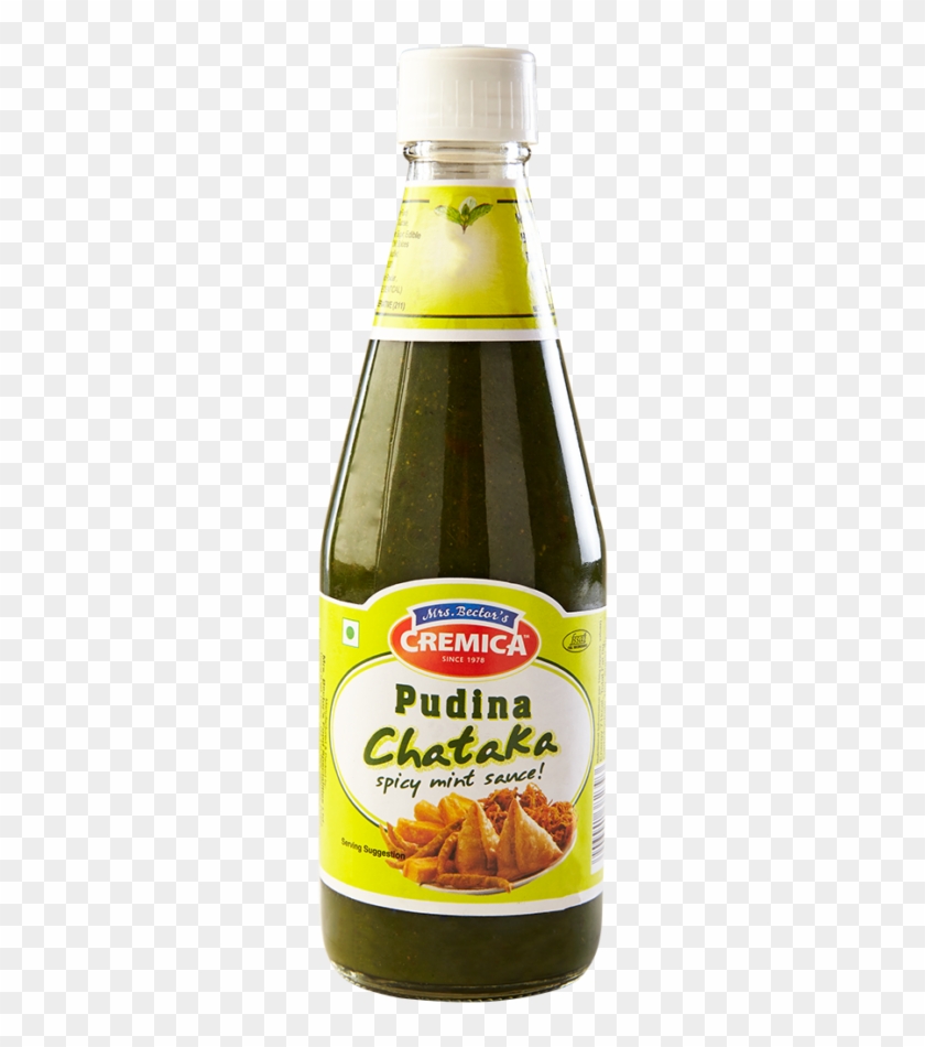 Cremica Pudina Chataka Sauce 500g - Cremica Pudina Chutney Clipart