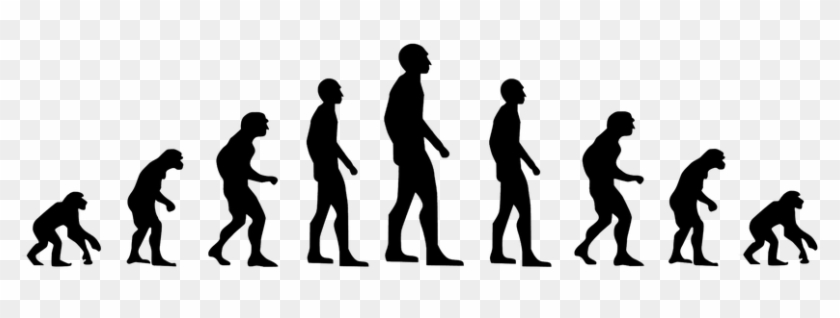 Evolution Development Forward Darvin Reverse - Evolution Of Humans Clipart