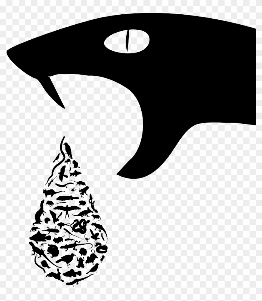 Ecology And Evolution , Png Download Clipart #1474679