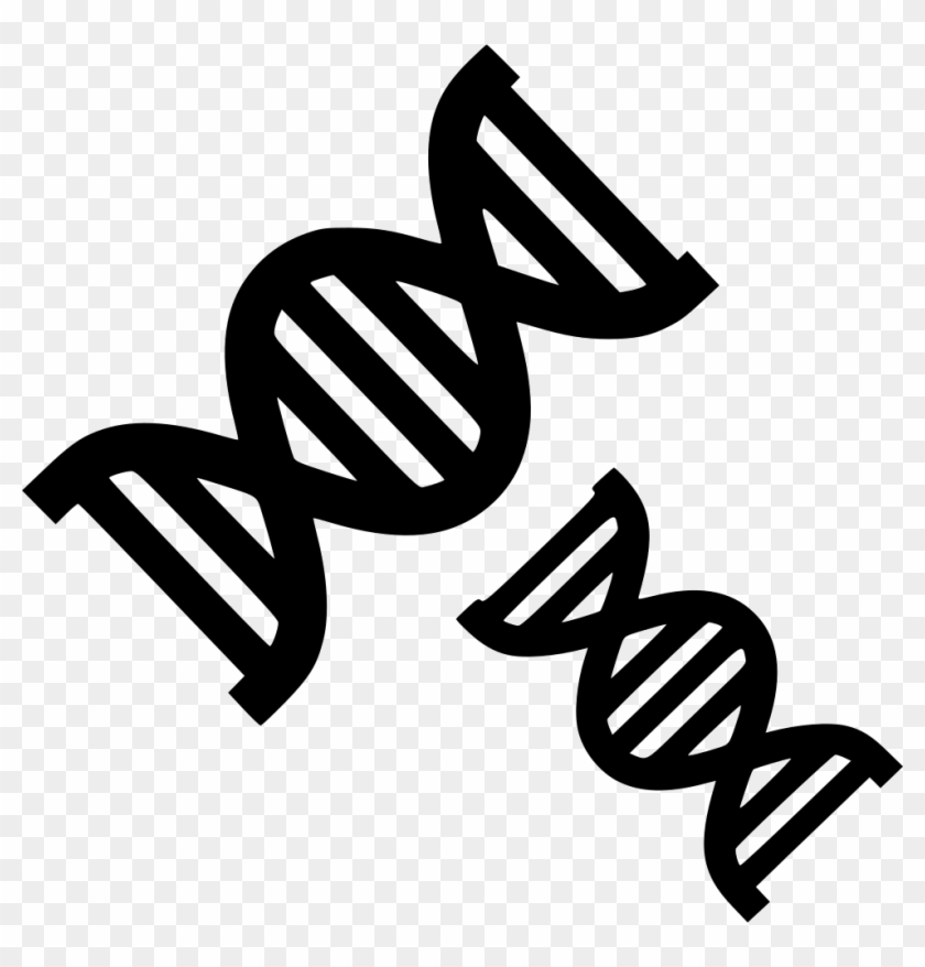 Png File Svg - Evolution Icon Png Clipart