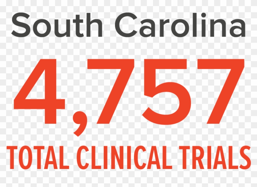 Research In South Carolina - Inclusion International Clipart #1474733