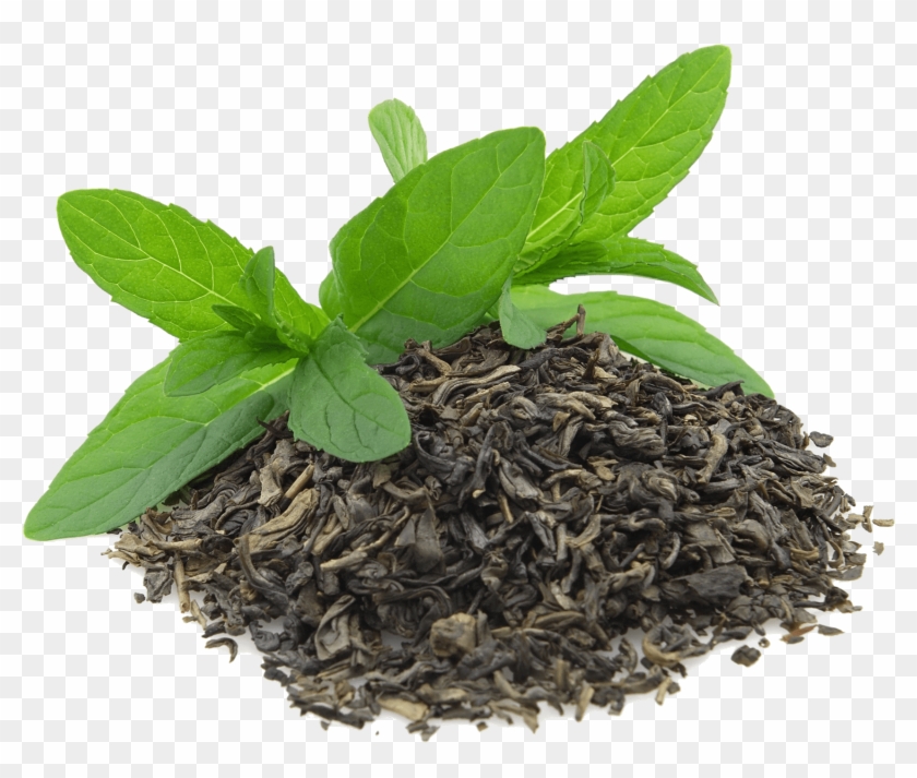Green Tea - Green Tea Png Transparent Clipart #1474924