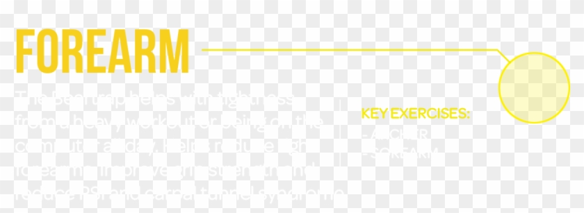 Of These From Beartrap Therapy - Parallel Clipart