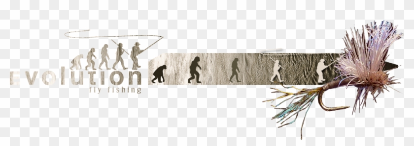 Evolution Fly Fishing Clipart #1475499