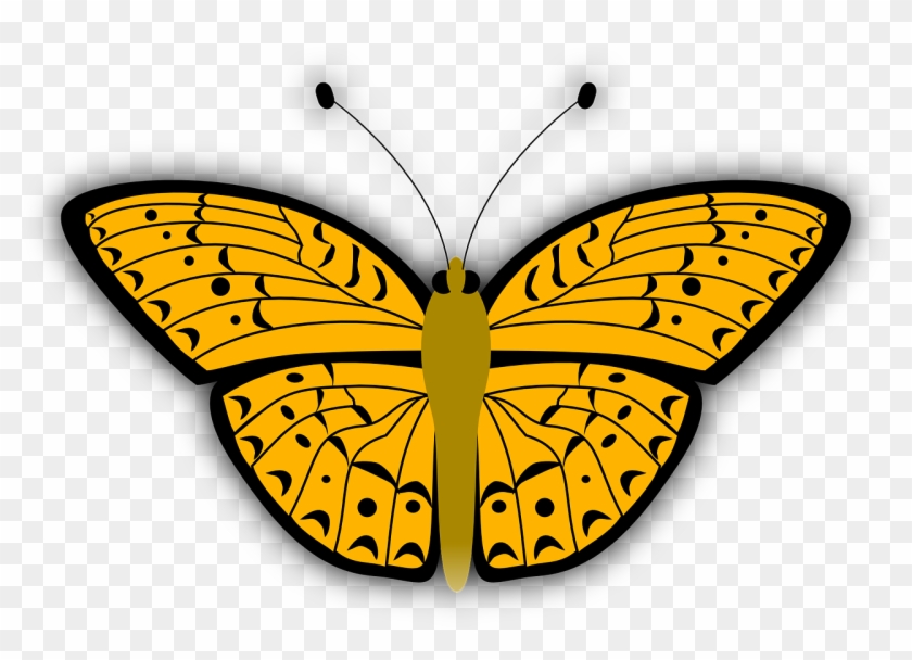 Borboleta Mariposa Mariposas Butterfly Incect Png Borboleta - Kupu Kupu Warna Kuning Clipart #1475693