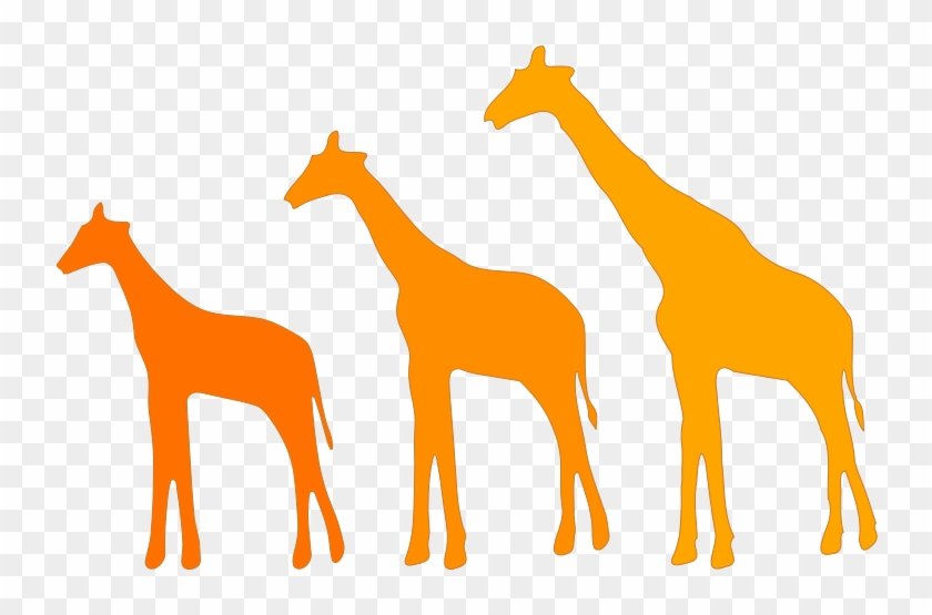 File - Lamarckian Evolution - Svg - Sorrel Clipart #1476164