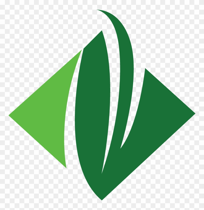 Evergreen Png Clipart #1476441