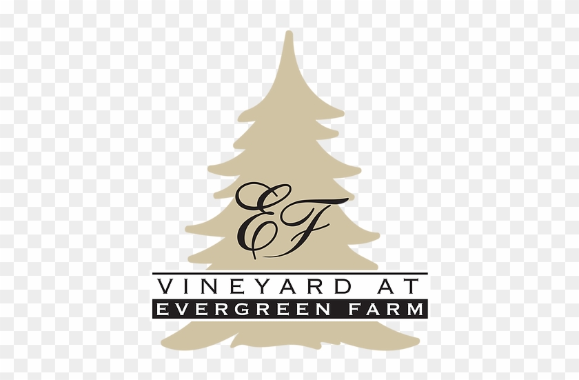 Ef Final Logo Cmyk No Website - Christmas Tree Clipart #1476501