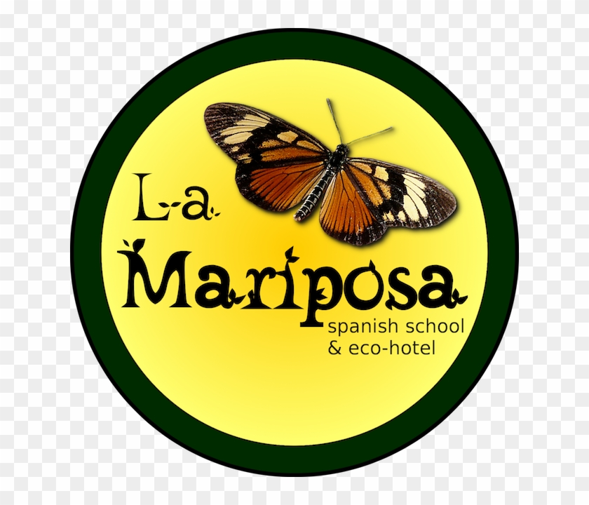 Mariposa Small - Lycaena Clipart