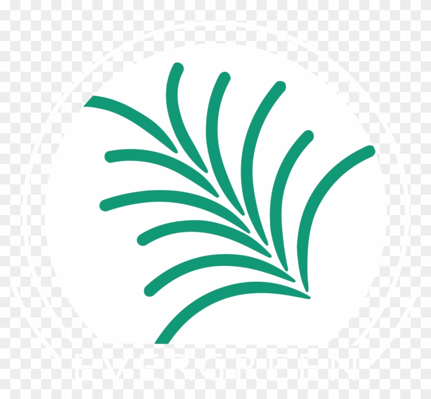 72 Dpi, 150 Dpi, 300 Dpi Green Background And - Evergreen Ils Clipart