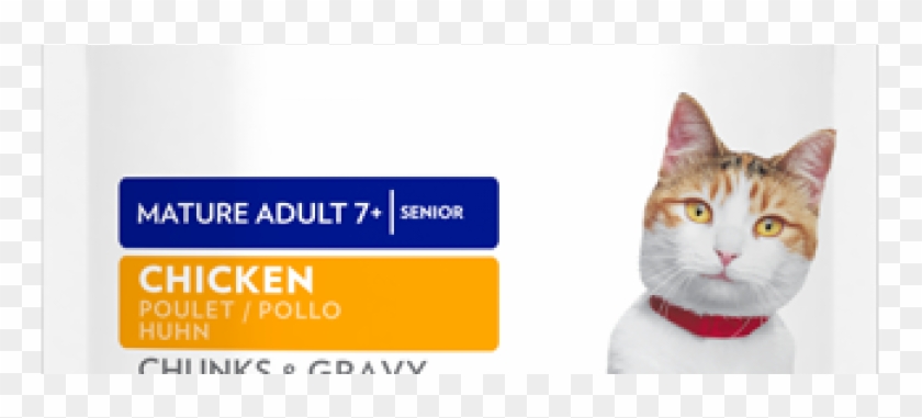 Sp Feline Science Plan Mature Adult 7 Plus - Cat Yawns Clipart #1478407