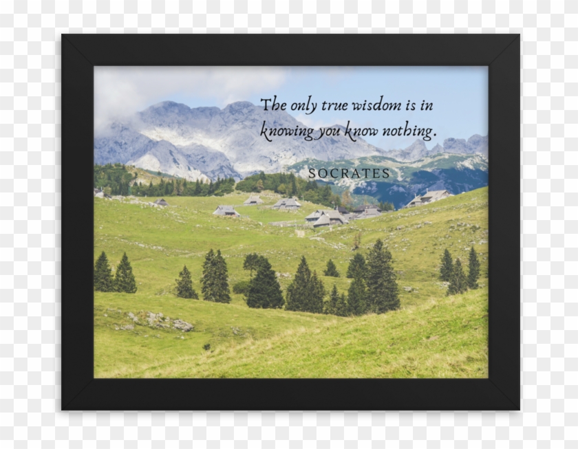 Load Image Into Gallery Viewer, The Socrates - Berge Kuh Clipart