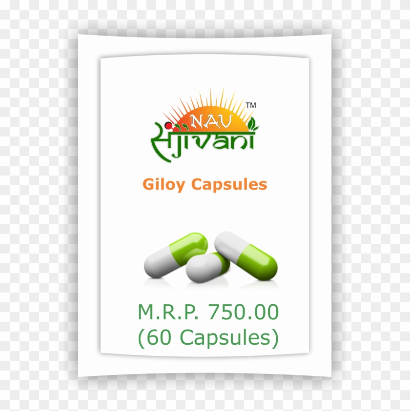 Giloy 60 Capsules - Capsule Clipart