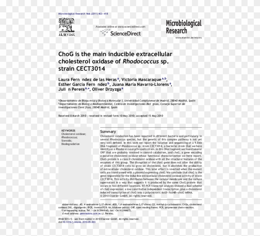 Pdf - Initial P: Solomon Instructing A Pupil Clipart