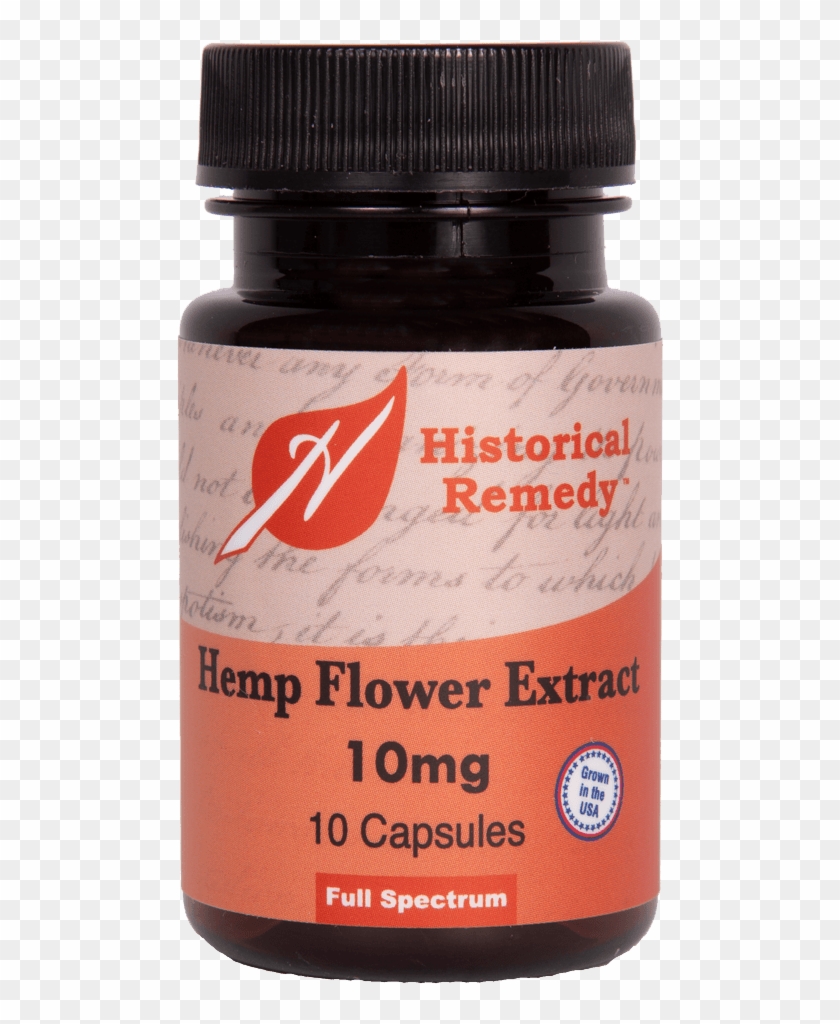 Home - Fungus Clipart