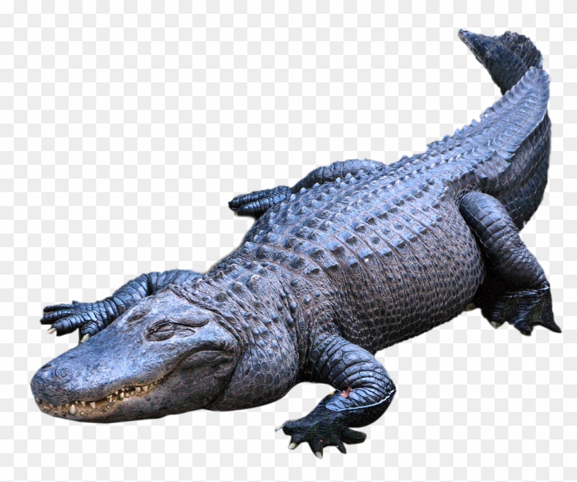 1200 X 900 2 Clipart
