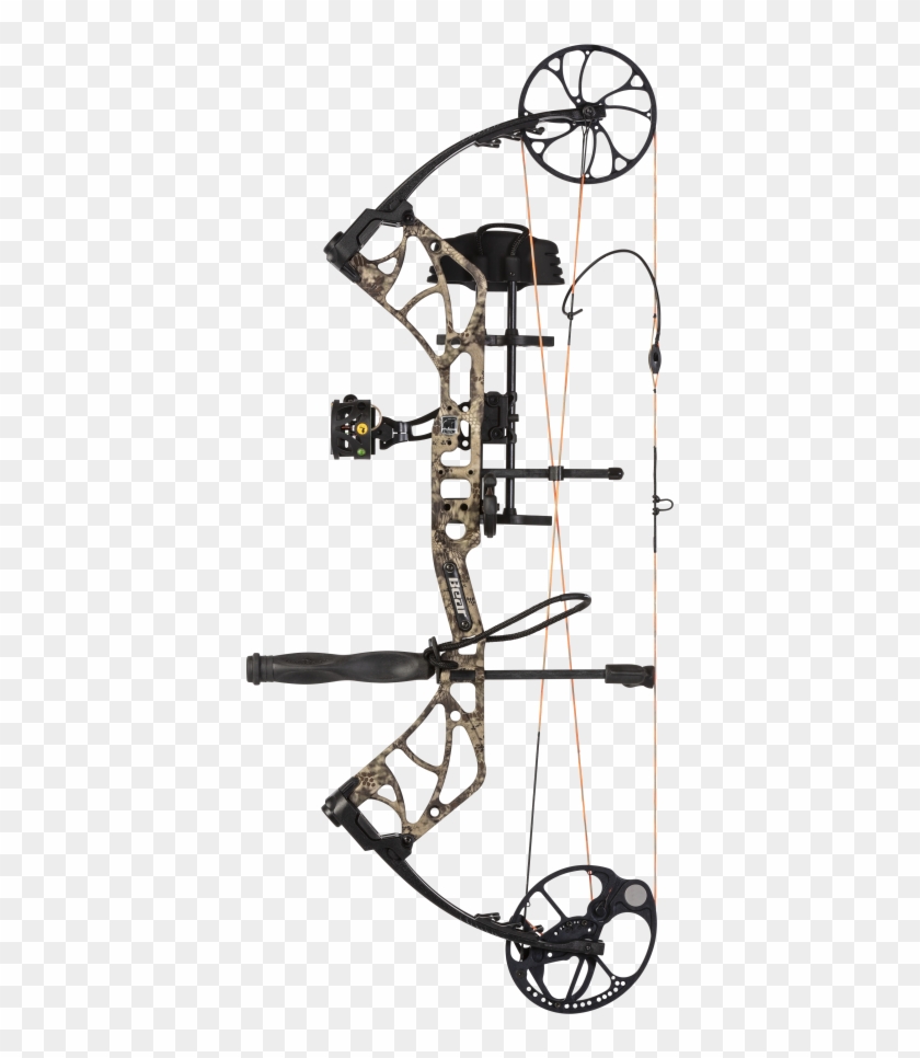 Bear Archery , Png Download Clipart