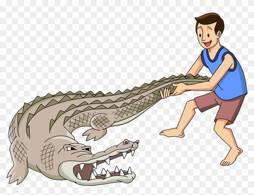 On Facebook Friday, South Carolina's Fripp Island Resort - Alligator Wrestling Png Clipart