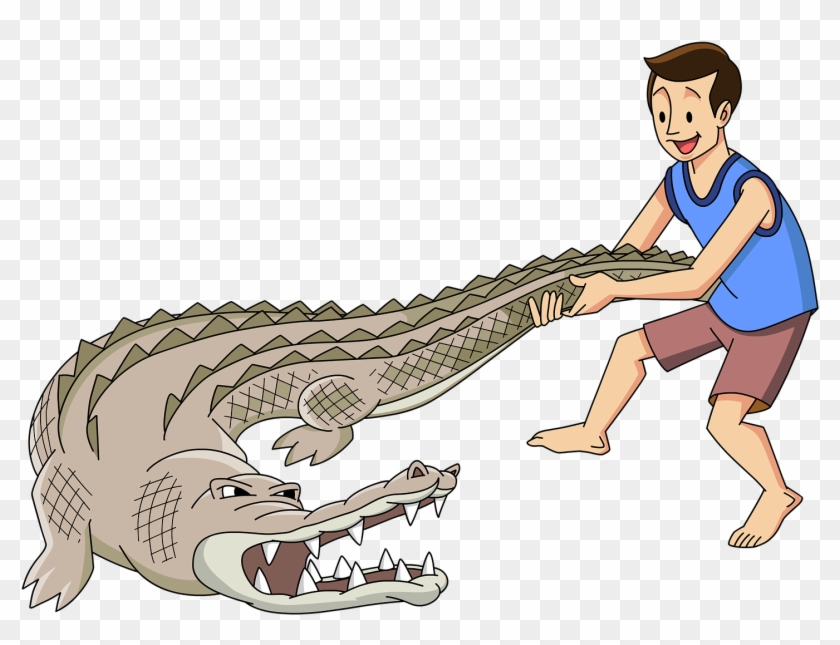 On Facebook Friday, South Carolina's Fripp Island Resort - Alligator Wrestling Png Clipart #1484517