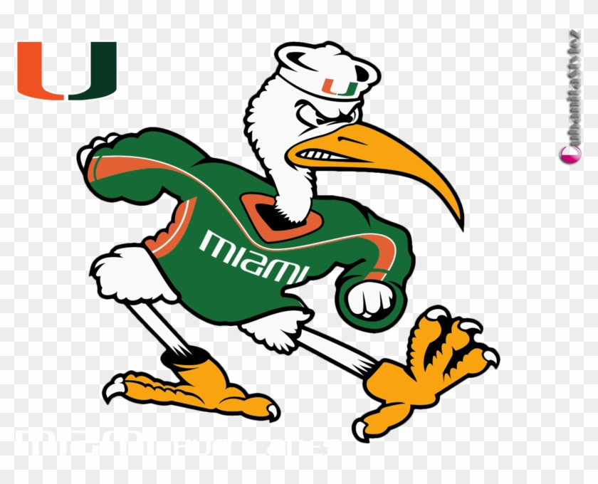 Miami Hurricanes Um - University Of Miami Cat Clipart