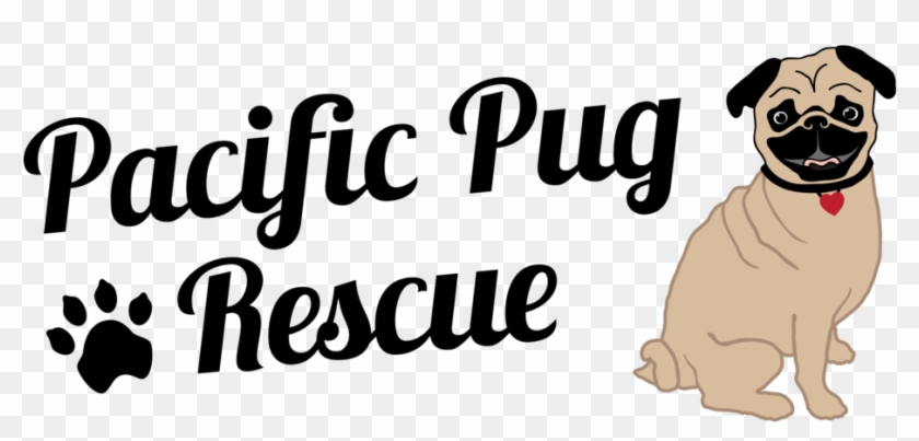 Pacific Pug Rescue Logo Pacific Pug Rescue Alternate Clipart #1486454