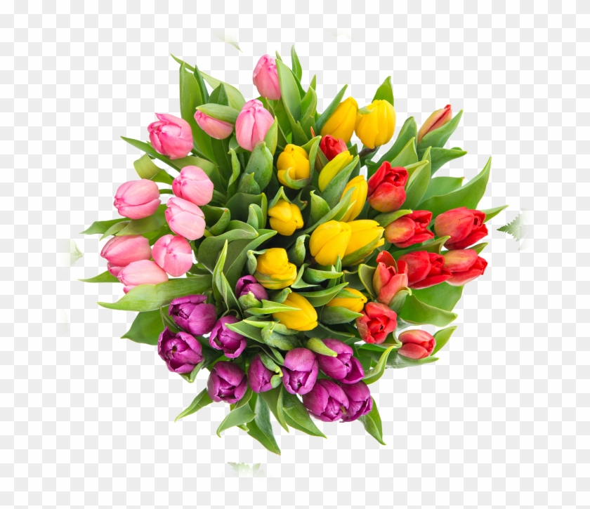 Tulip Bouquet - Fiori Per Un Compleanno 18anni Clipart