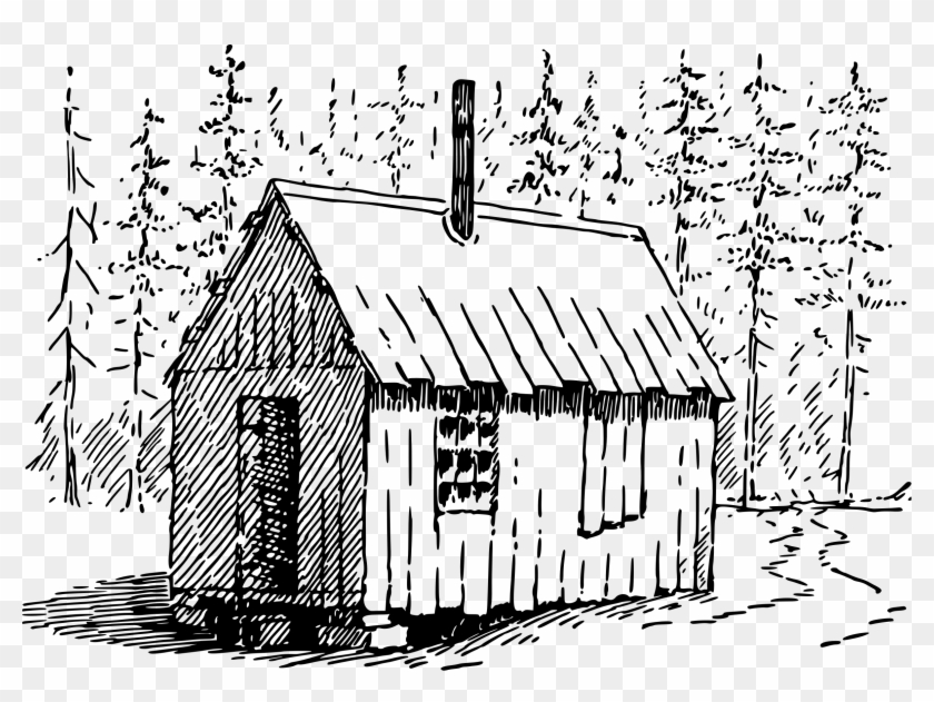 In The Woods Vector Library Huge - Cartoon Clipart #1489759