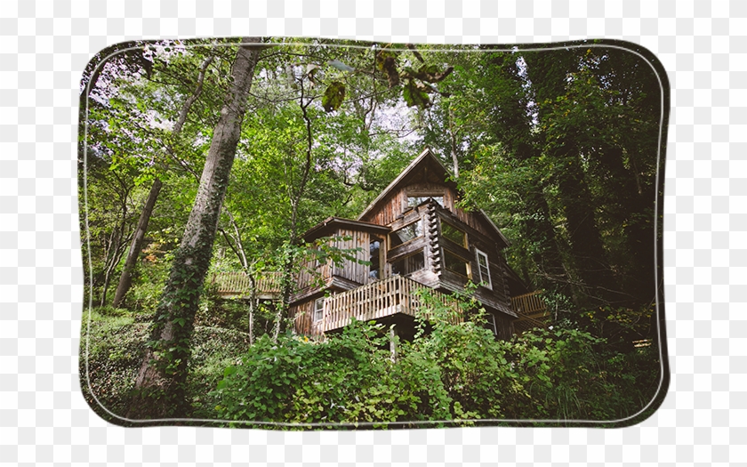 Tree Clipart #1489988