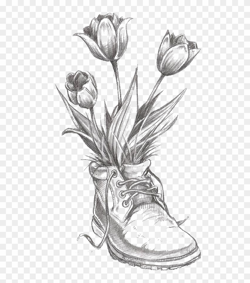 Flower Tulip Pencil Transprent Png Free Download - Flower Drawings Clipart #1490091