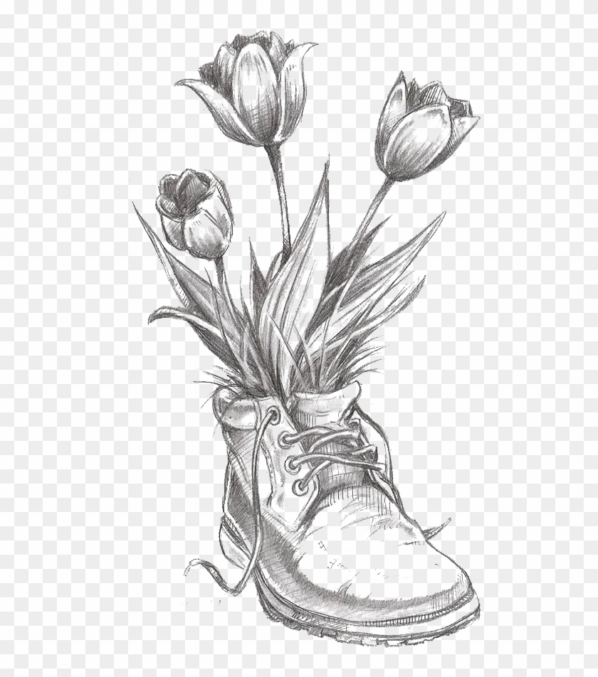Flower Tulip Pencil Transprent Png Free Download - Flower Drawings Clipart