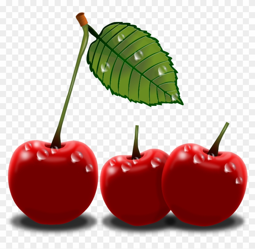Cherry Cherries Clip Art Cherries Image Image - Cherry Png Clip Art Transparent Png #1490480
