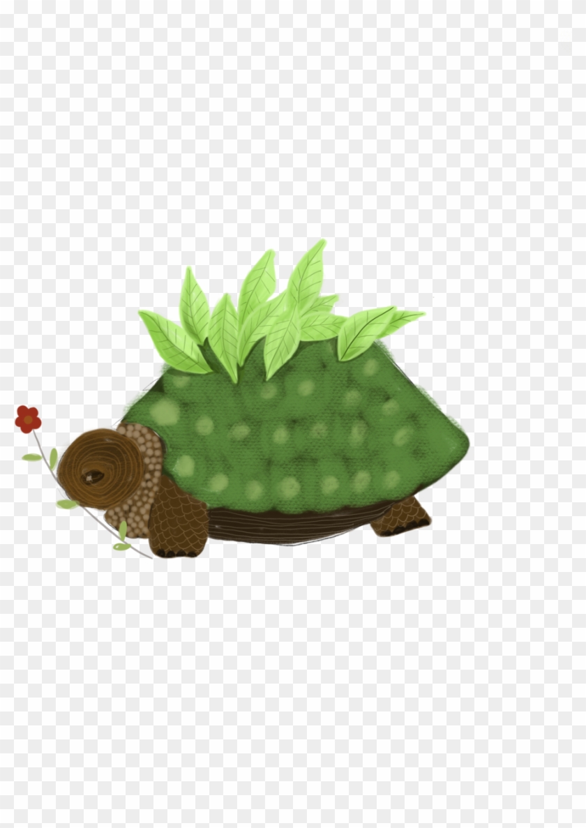Tortoise Clipart
