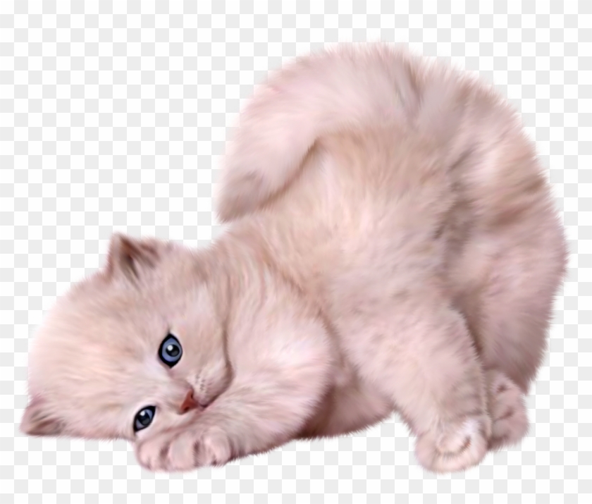 Pinterest Clipart Fluffy Cat - Gatinhos Png Transparent Png #1490548