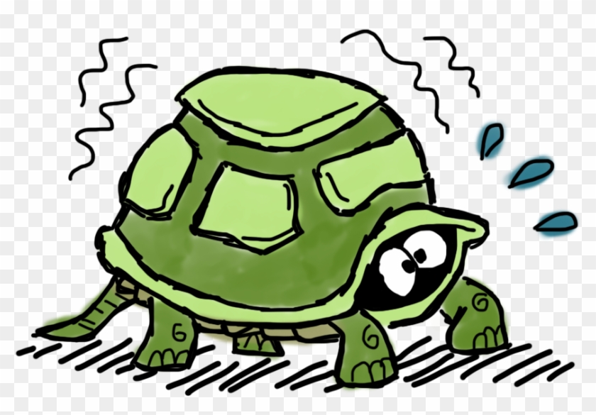 Tortoise Clipart