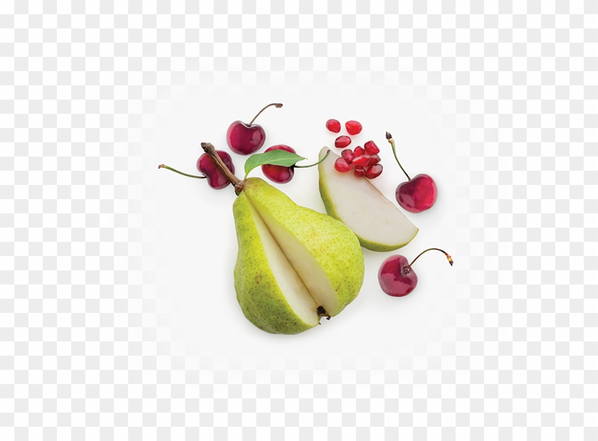 Organic Pomegranate Cherries - Still Life Photography Clipart