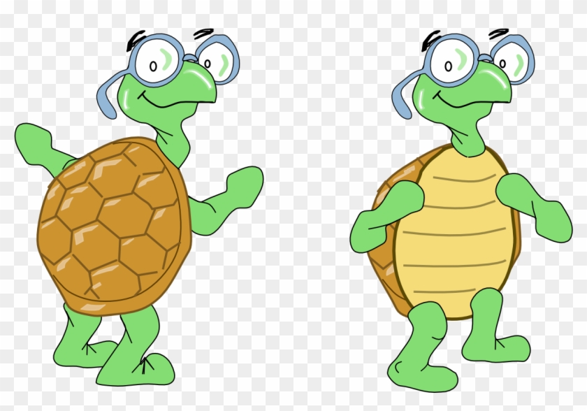 Turtles - Turtle Clipart