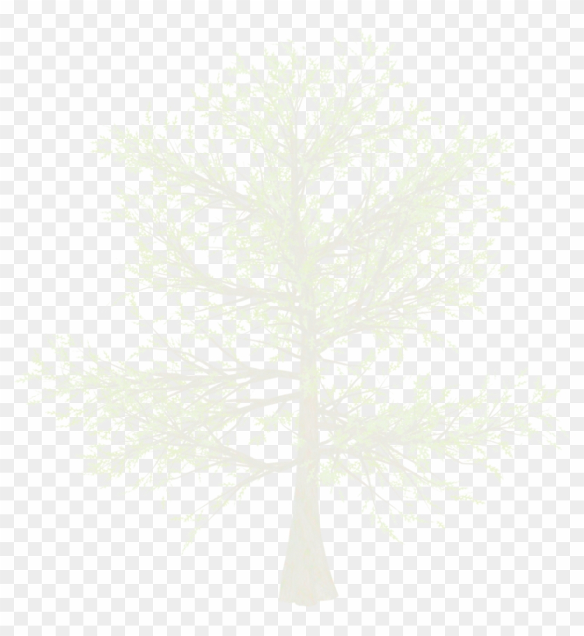 Red Pine Clipart #1491643