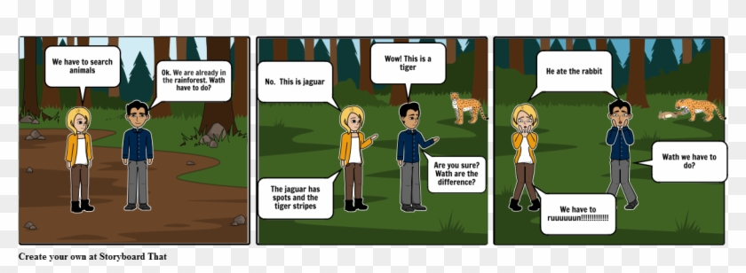 Rainforest Lisandro Balmaceda C - Cartoon Clipart #1491644