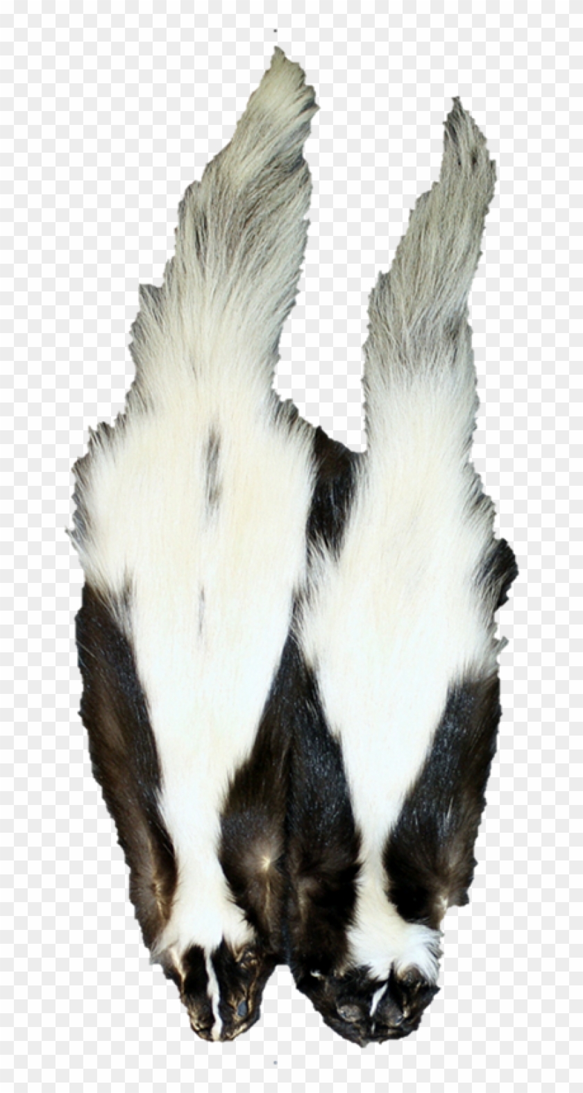 2x Wide Stripe - Hooded Skunk Clipart #1491728