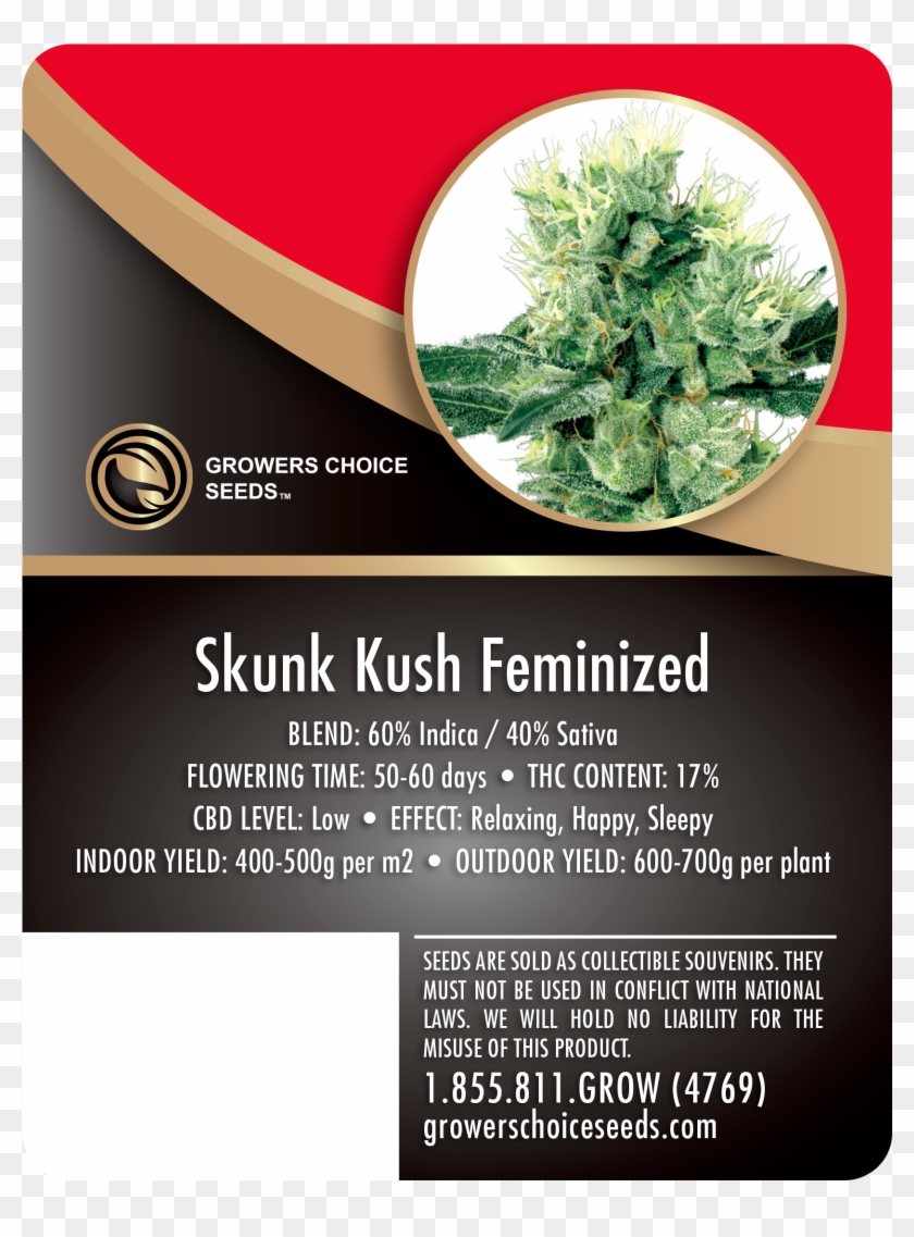 Skunk Kush Feminized Cannabis Seeds - White Haze Clipart #1491856