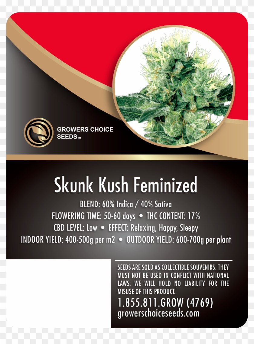 Skunk Kush Feminized Cannabis Seeds - White Haze Clipart