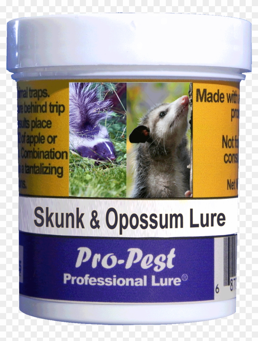 Pro-pest Skunk - Skunk Clipart #1491917