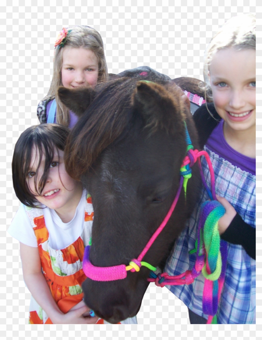 Published June 9, 2015 At 1500 × - Toddler Clipart #1492190